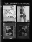 Wooten receives petition; Woman rides plane; Marines load plane (4 Negatives) (May 28, 1957) [Sleeve 60, Folder a, Box 12]